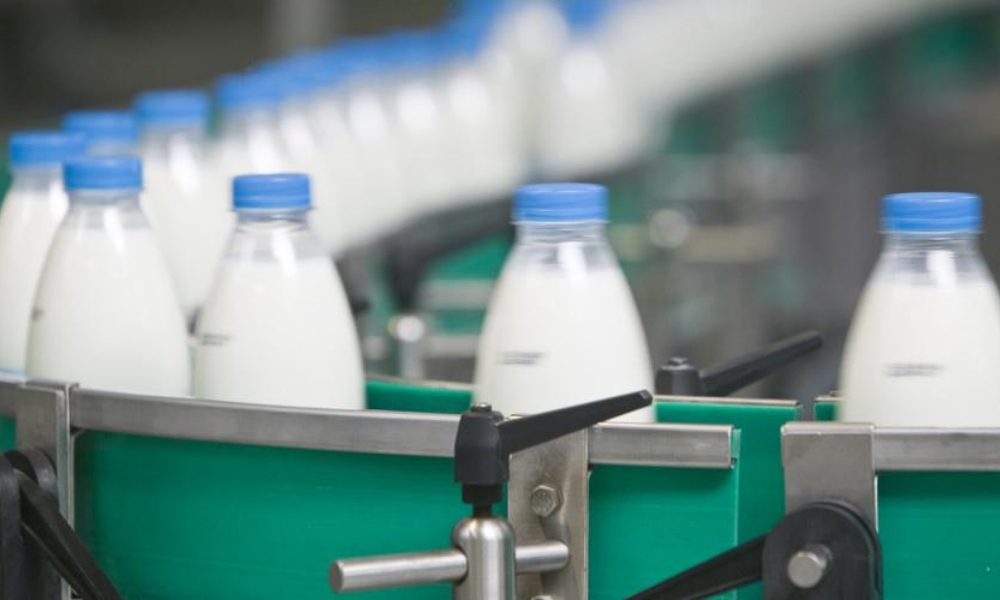 Маркировка молочной продукции. Новости и старт работы с Ediweb  